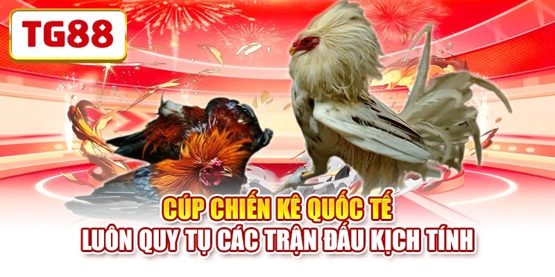 Cúp chiến kê quốc tế luôn quy tụ các trận đấu kịch tính Cúp chiến kê quốc tế luôn quy tụ các trận đấu kịch tính